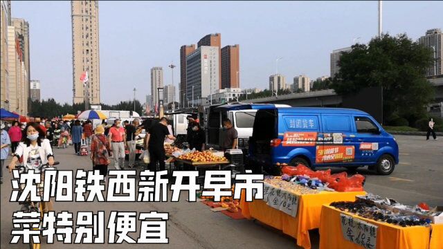 沈阳铁西新开大早市,菜挺便宜,老百姓最喜欢的市场