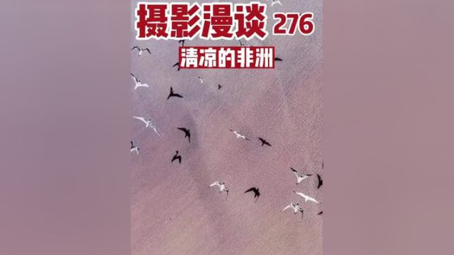 摄影漫谈(276)