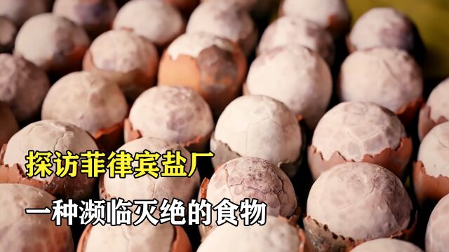 探访菲律宾海盐工厂:用椰子壳制作海盐,一种濒临灭绝的食物