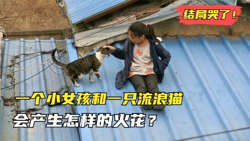 [图]一个十岁小女孩和一只受伤的流浪猫，会产生怎样的火花？结局哭了