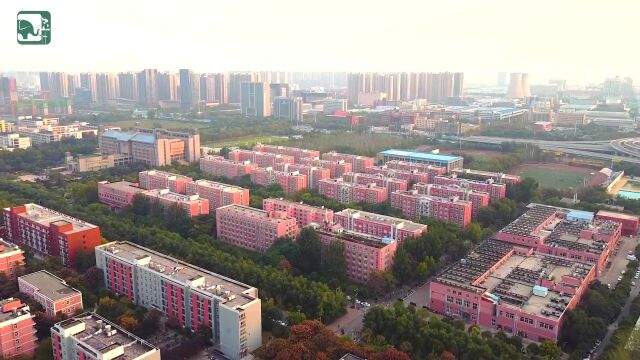 多少位次能上郑州大学?2022招生计划公布,这些优势专业等你来报!