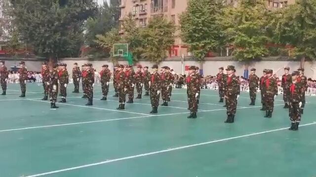 “小小”阅兵式