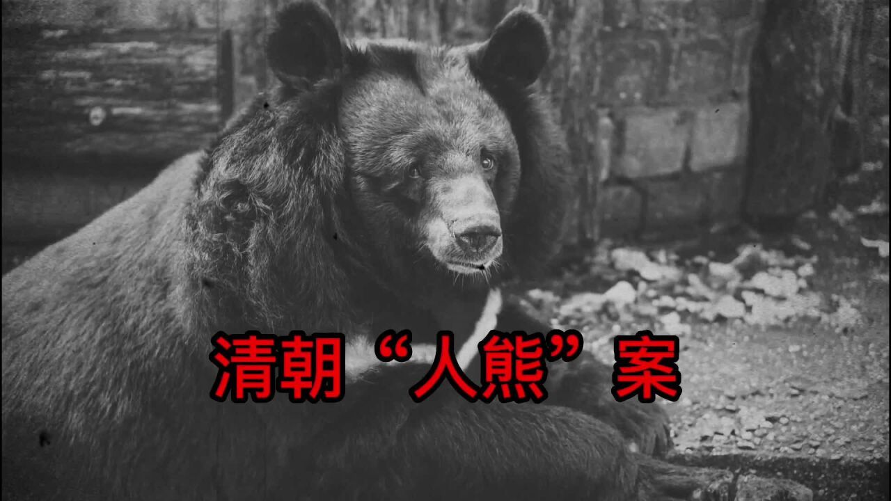 清朝"人熊"案:古代的"采生折割"到底有多残忍《子不语·狗熊写字》