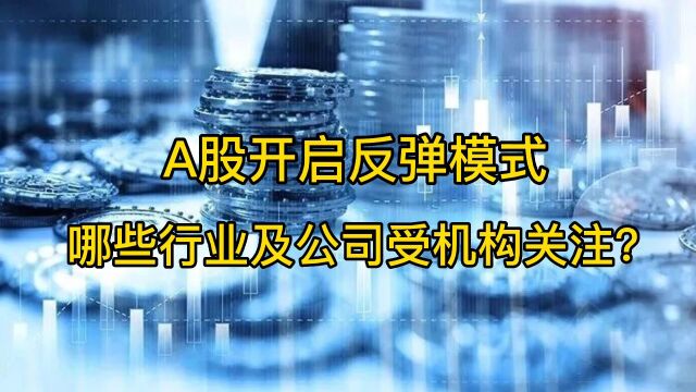 A股开启反弹模式,哪些行业及公司受机构关注?