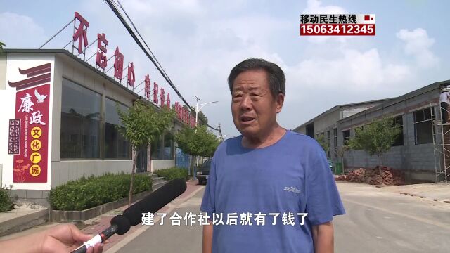 【我当书记这一年】口镇街道申陈村党支部书记申立波:兴产业优环境 助力乡村振兴