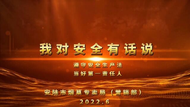 湖北省安陆市烟草专卖局“我对安全有话说”