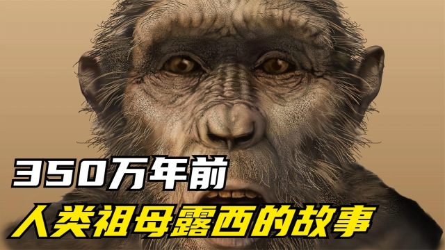 人类的老祖母露西:22岁结束短暂一生,刚满月的孩子在地上哭泣