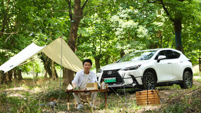 雷克萨斯风影车都