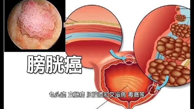 施汉斌的数字百科