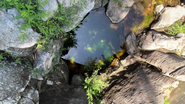 灵山多秀色,空水共氤氲——刚柔并济两姐妹,一潭龙湖拂袖出