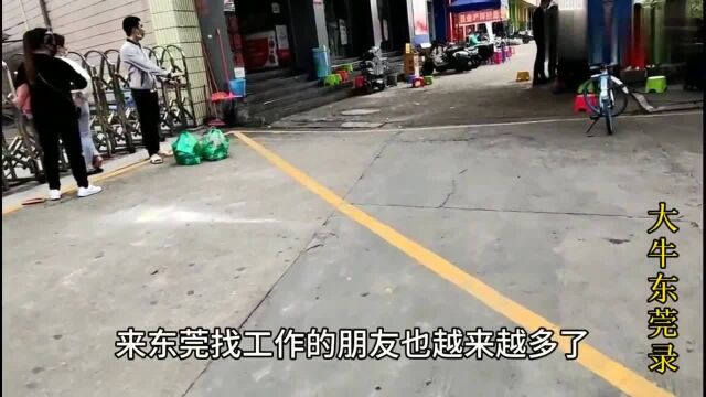 广东东莞:工厂位于马路边上,每天自己上门的找工作就多,招工省心多了