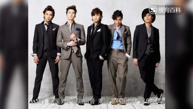 立懂百科带你了解ss501