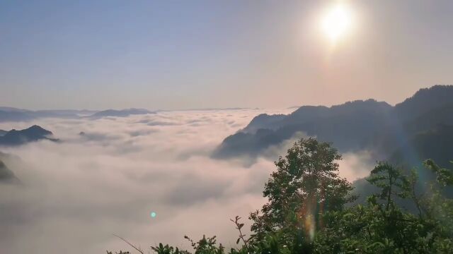 七月怎么过?星空云海茶园全都有,贵阳这个露营地太圈粉了!