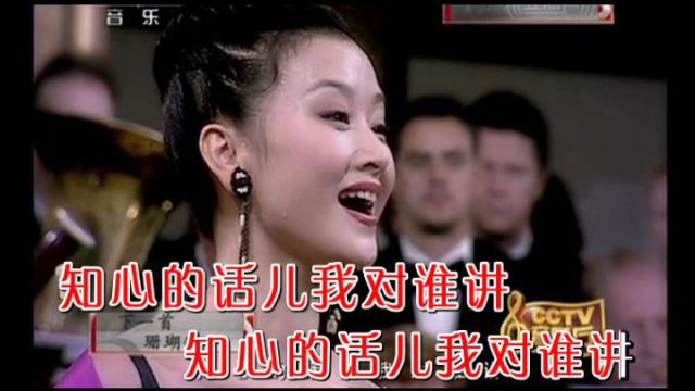 宋祖英心上人像达玛花KTV