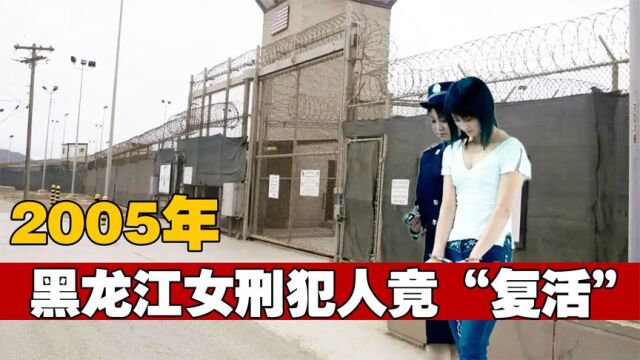 2005年黑龙江,22岁美女刑犯被枪决后又“复活”?究竟发生了什么