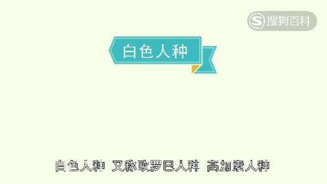 立懂百科带你了解白色人种