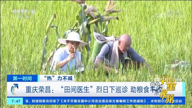 重庆荣昌:“田间医生”烈日下巡诊,助粮食丰收