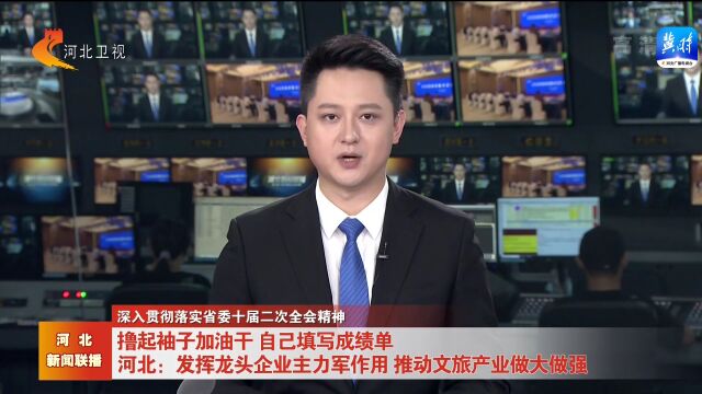 河北:发挥龙头企业主力军作用 推动文旅产业做大做强