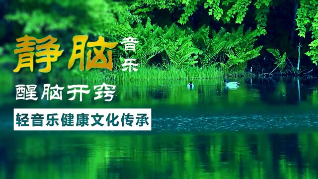 【不染】竹笛版|【香蜜沉沉烬如霜】主题曲 |百听不厌|养心纯音乐