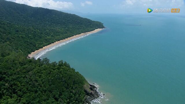  褐拟鳞鲀 黑斑海参 笔尾獴