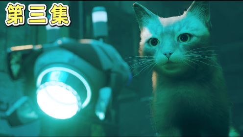Stray流浪：小猫咪初到地下之城，这回终于遇到活的机器人了！