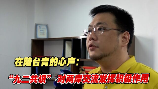 在陆台青的心声:“九二共识” 对推动两岸交流发挥积极作用