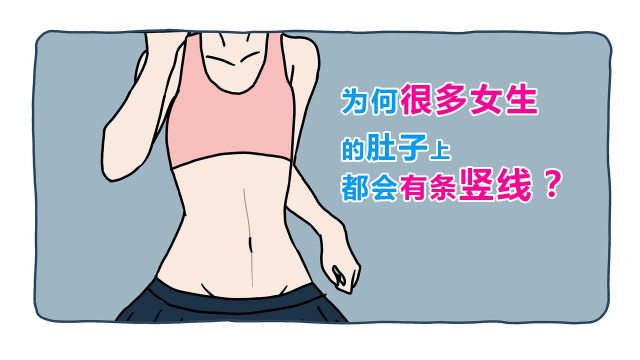 为什么很多女生的肚子上,都会有条竖线?