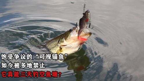 饱受争议的“可视锚鱼”，如今被多地禁止，它真能三天钓空鱼塘？