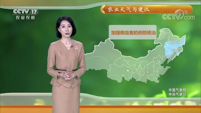 《安徽省粮食作物生长期保护规定》聚焦人为毁粮现象丨农情快报〔2022.8.2〕