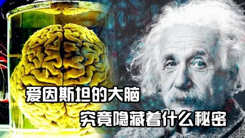 爱因斯坦的大脑被切成240片供人研究，研究成果惊呆众人