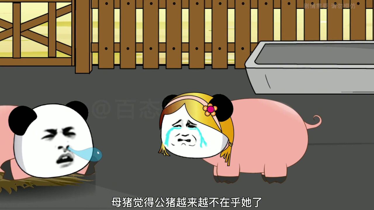 沙雕动画:一则关于猪的爱情故事,感动了千万人_高清1080P在线观看平台_腾讯视频