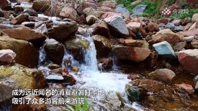 央视频 | 石家庄元氏:揽紫沟 清凉打卡处