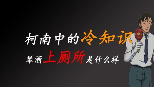 冷知识,琴酒蹲马桶的画面是这样的,网友们都是魔鬼吗