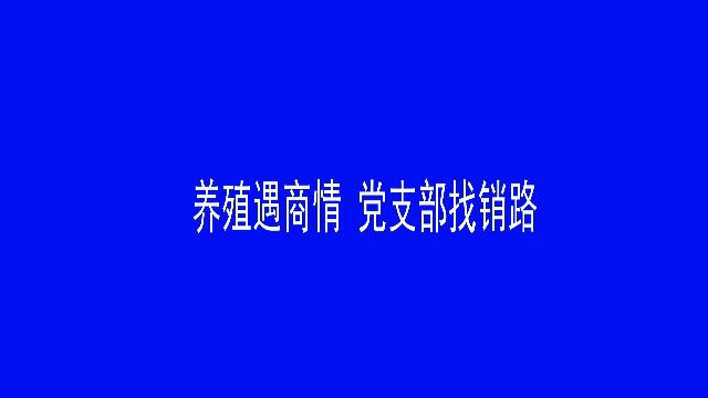 养殖遇商情 党支部找销路