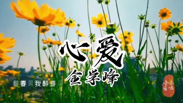 金学峰《心爱》03版倚天屠龙记主题曲