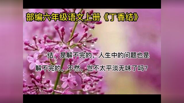 六年级上册语文《丁香结》中豁达的人生观