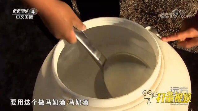 蒙古族人喜爱的饮品——奇盖,可以加工成马奶酒