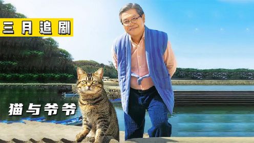 治愈电影《猫与爷爷》一个老人的晚年生活，一人一猫就能很充实