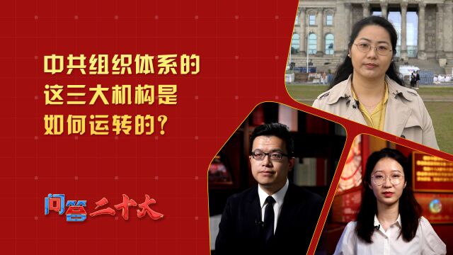 【问答二十大】中共组织体系的这三大机构是如何运转的?