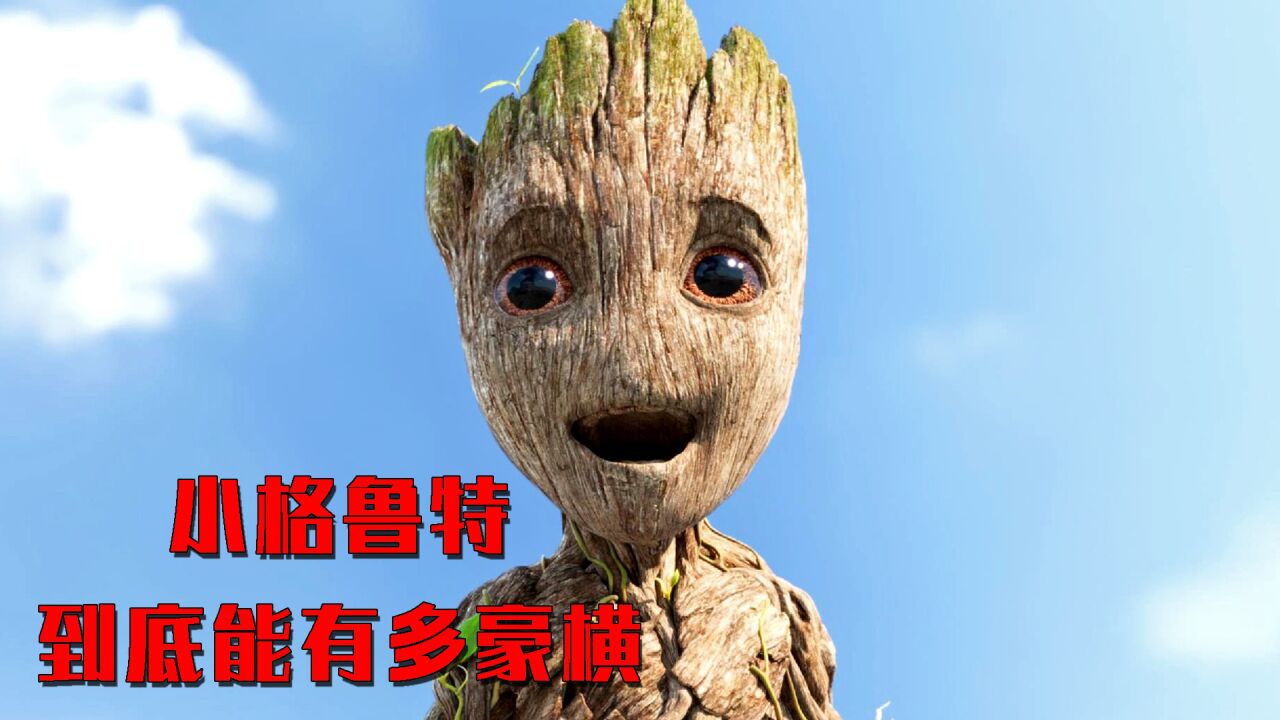 我是格鲁特第一集_腾讯视频