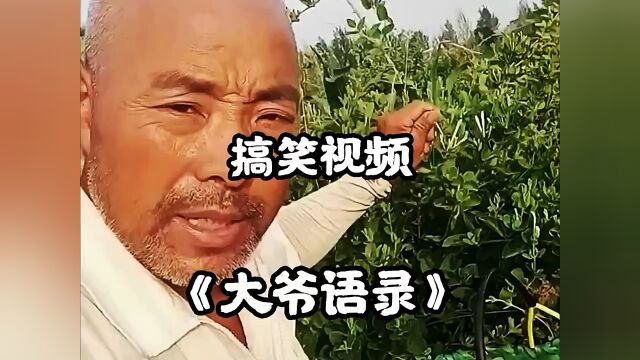 还得是大爷啊呀!!