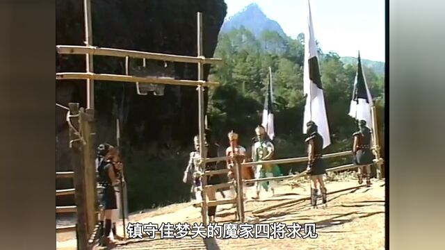 魔家四将