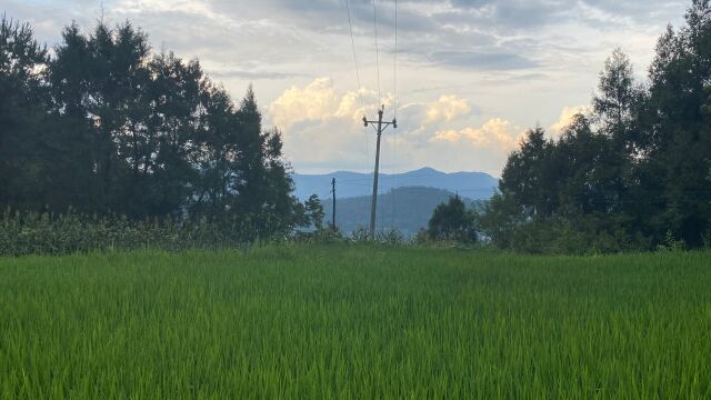 王君植风水大师四川巴中寻龙视频,分享大窝穴,什么样的朝山案山属于有情证穴