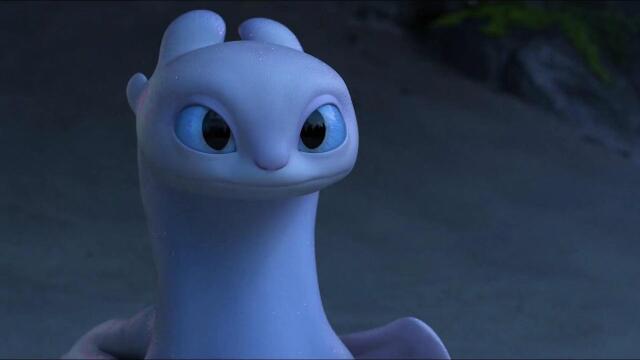 单身多年的无牙仔终于遇上了一只母龙~ #治愈 #可爱 #精彩片段