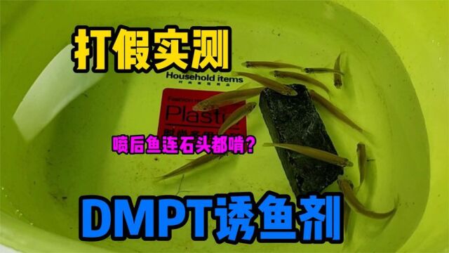 打假实测德国DMPT诱鱼剂,据说喷上之后,会让鱼会疯狂的啃咬石头