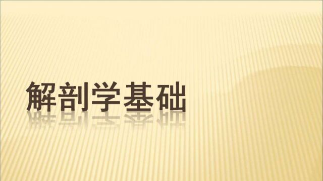 【第09课】解剖学精讲之 神经系统 第一节 脊髓