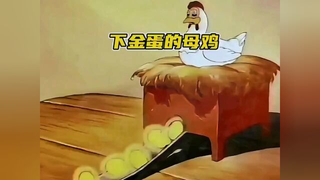 下金蛋的母鸡