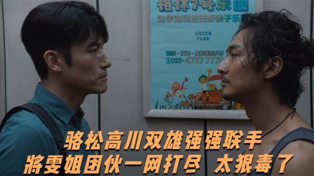 执念如影:骆松高川双雄强强联手,将雯姐团伙一网打尽,太狠毒了