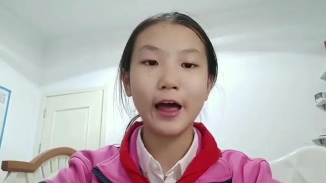 学习心得视频