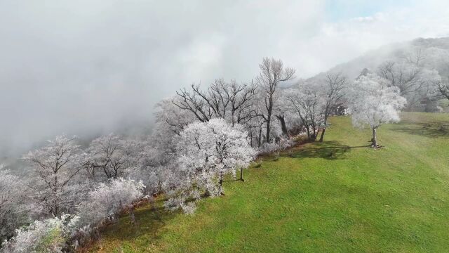 吉林四方顶子山迎来秋日雾凇奇观